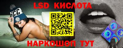 прущие грибы Камышлов