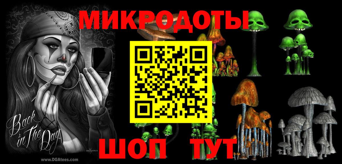 Галлюциногенные грибы Psilocybe Ливны