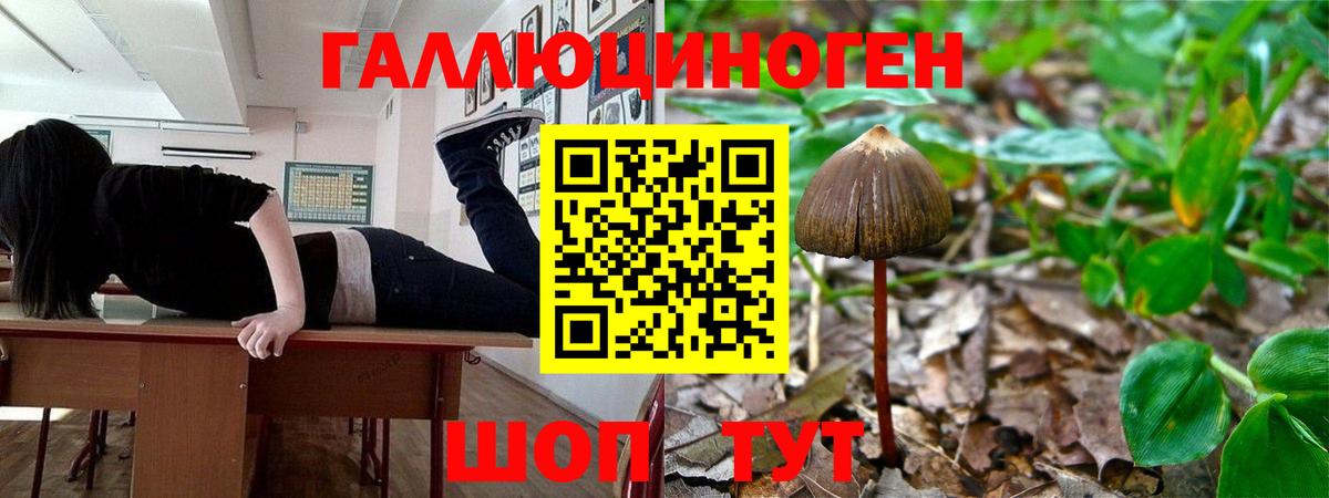 Ливны  Псилоцибиновые грибы Magic Shrooms  Галлюциногенные грибы прущие грибы  Вход с VPN 