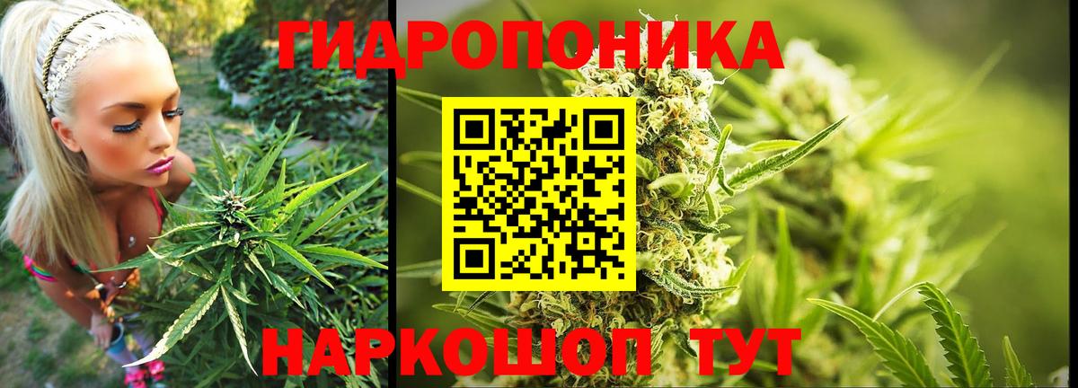 Канабис план  Бошки Шишки Amnesia  Вход с VPN  Ливны 